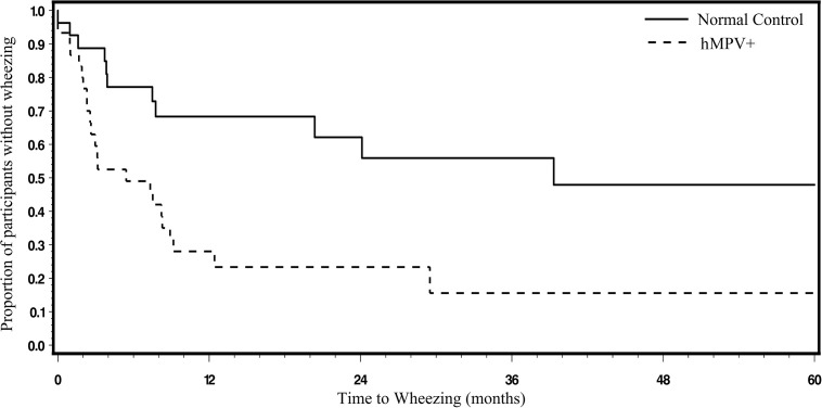 Image for Beyond Respiratory Syncytial Virus and Rhinovirus in the Pathogenesis and Exacerbation of Asthma: The Role of Metapneumovirus, Bocavirus and Influenza Virus