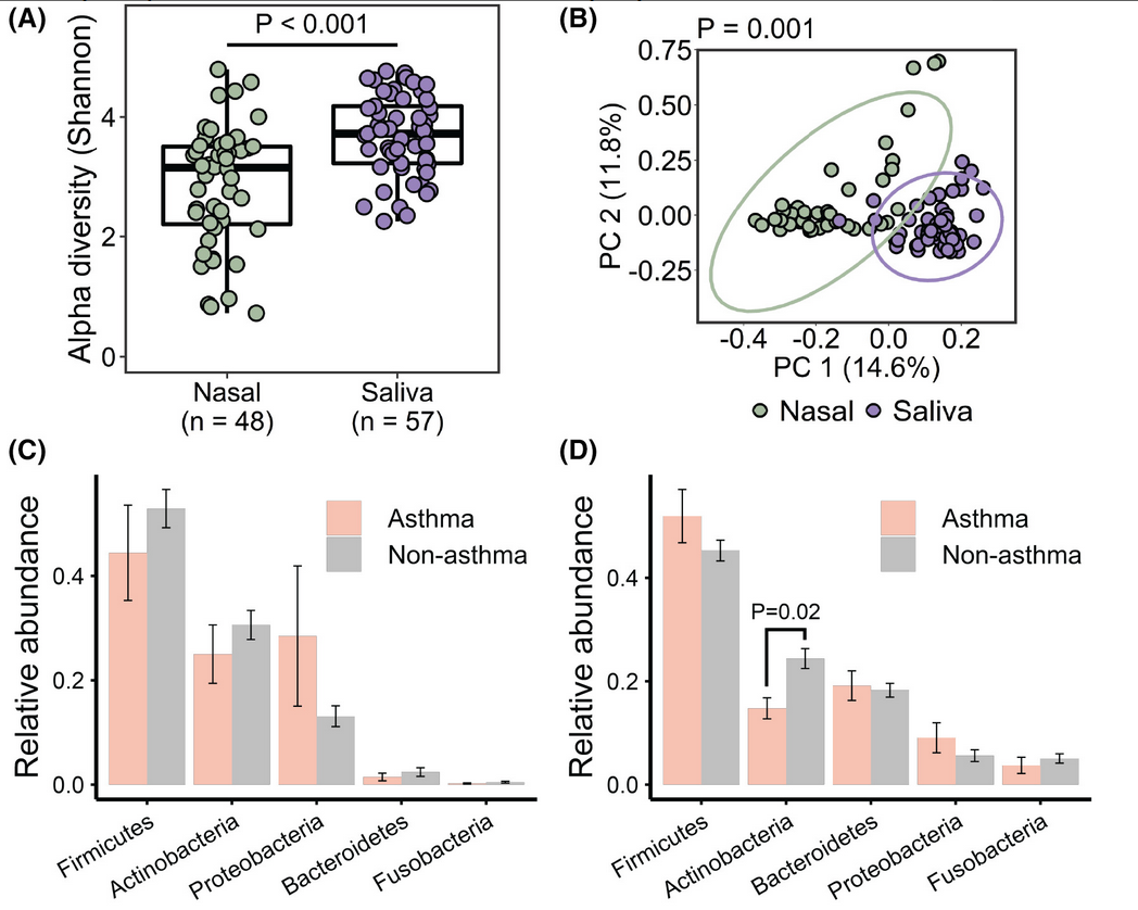 Image for The nasopharyngeal and salivary microbiomes in COVID-19 patients with and without asthma