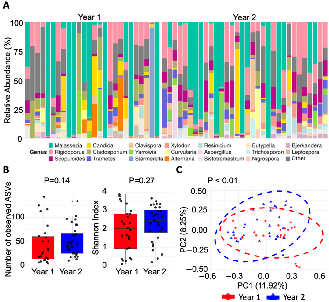 Image for Dysbiosis in the Nasal Mycobiome of Infants Born in the Aftermath of Hurricane Maria